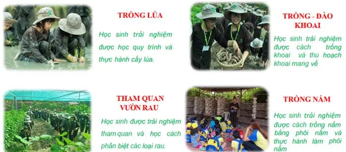 Ảnh có chứa văn bản, ảnh chụp màn hình
Nội dung do AI tạo ra có thể không chính xác.