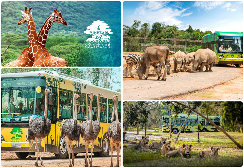 Thiên đường thú Vinpearl Safari Phú Quốc lập Kỷ lục Thế giới - HỘI KỶ LỤC GIA VIỆT NAM - TỔ CHỨC KỶ LỤC VIỆT NAM(VIETKINGS)