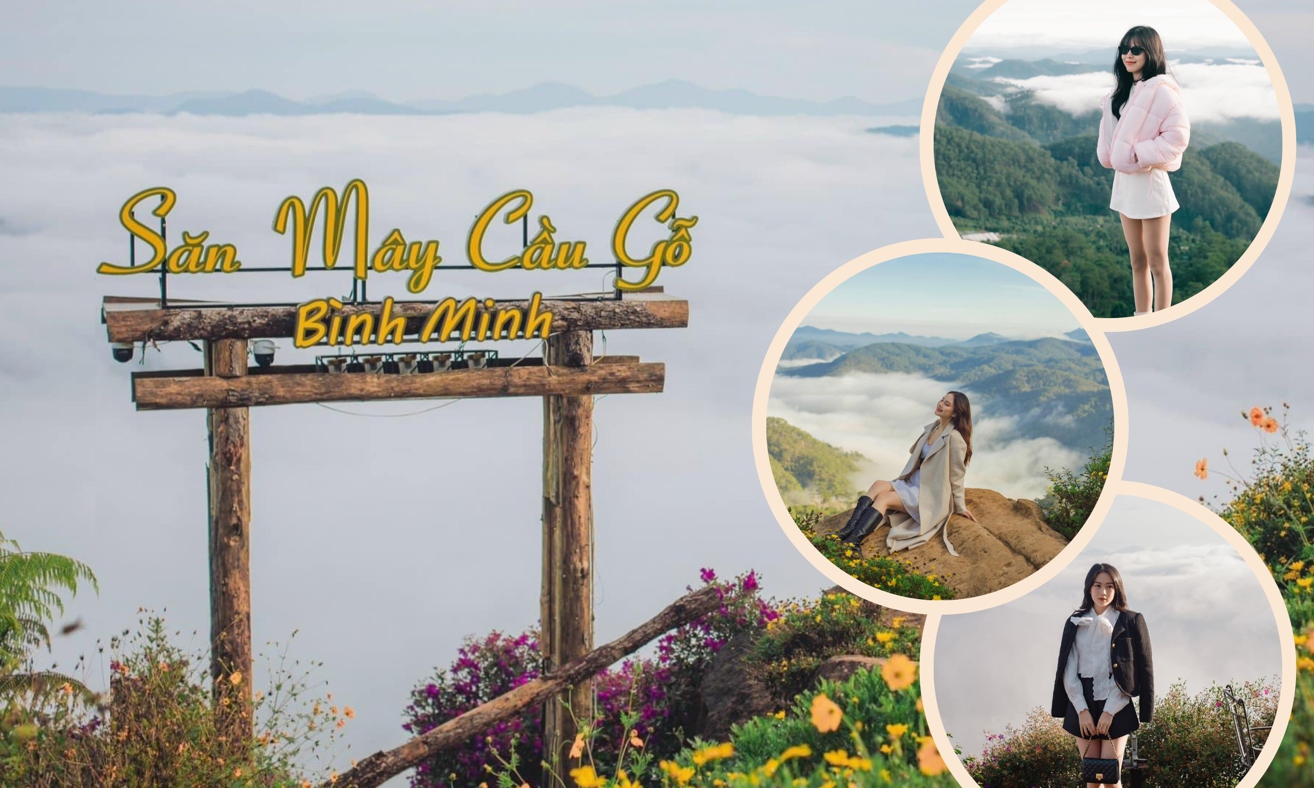 Tour săn mây cầu gỗ Đà Lạt - Tour Săn Mây Đà Lạt - Xe Riêng - Tour Ghép